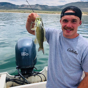 Meet your Posher, Daniel